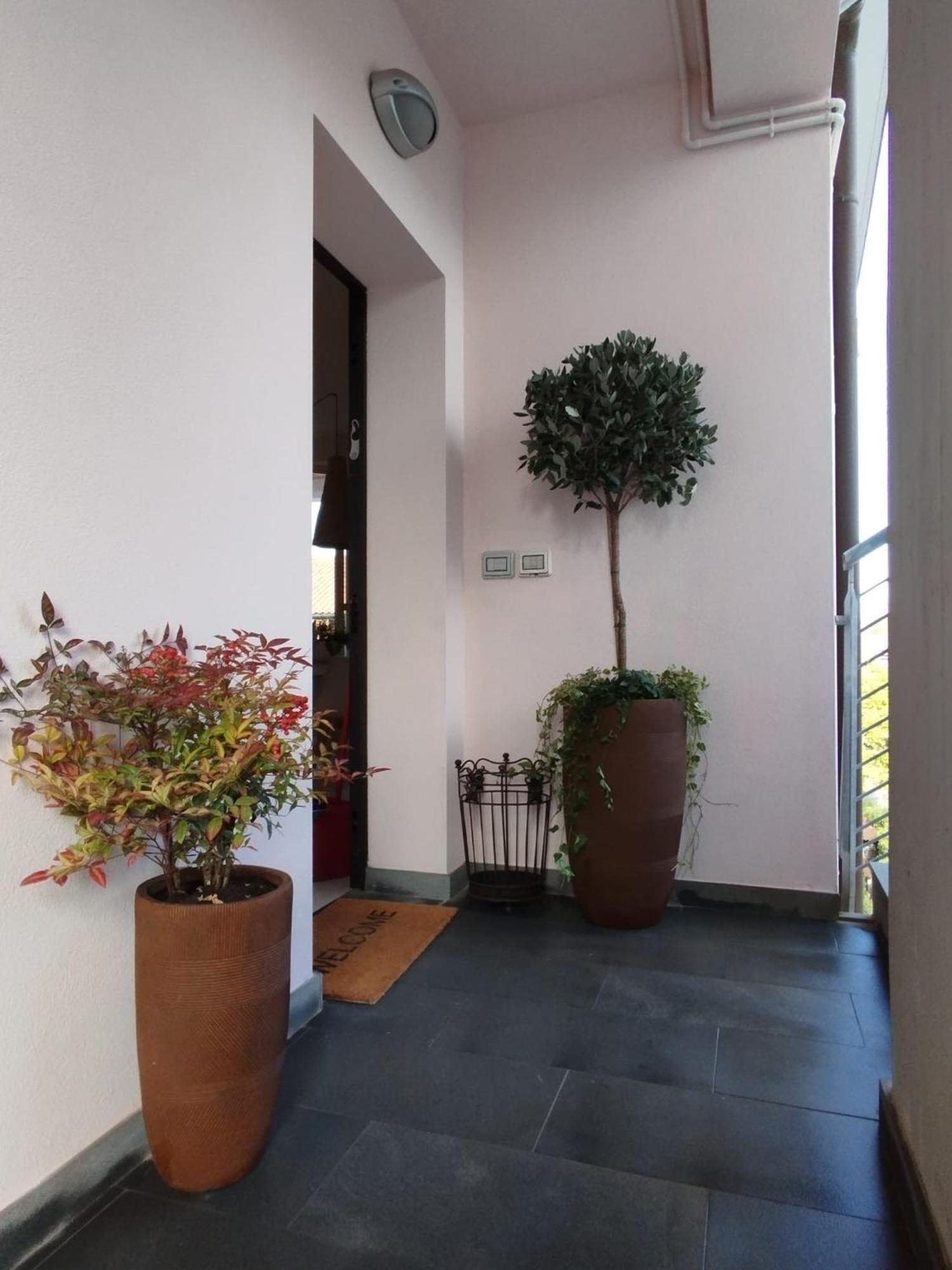 Ferienwohnung Casa Degli Aromi Lucca Exterior foto